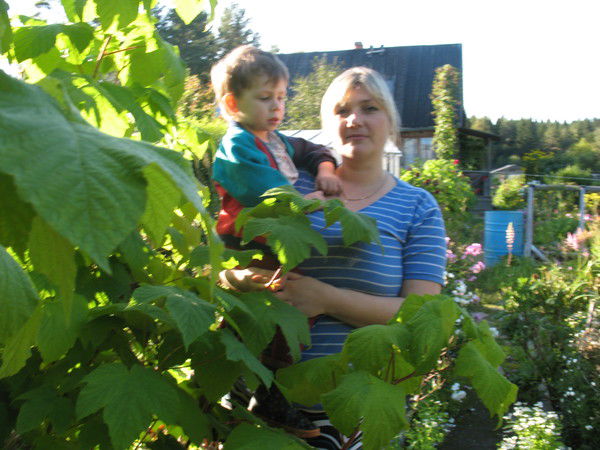 Любовь Алтунина