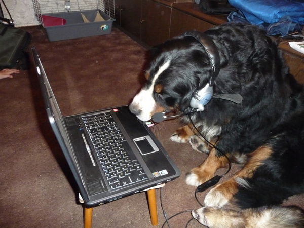 Сергей Никифоров