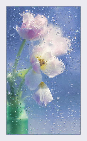 Динара Жакупова