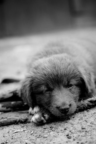 Евгений Игоревич