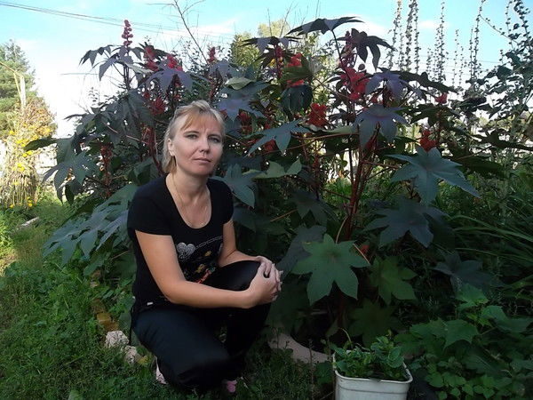 Елена Орлова