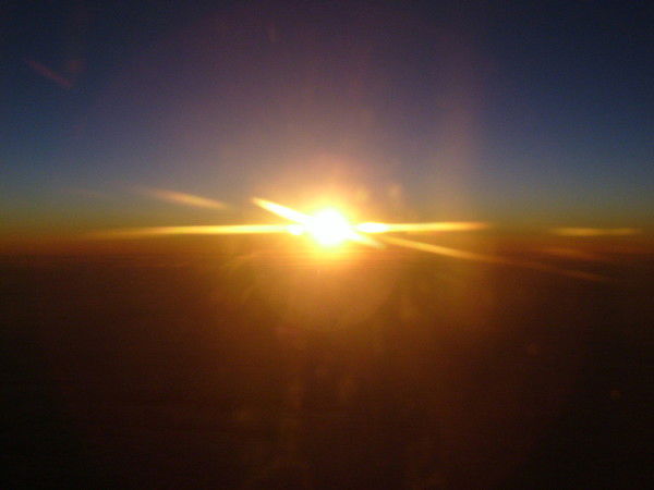 Елена Бурлакова