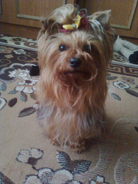 Александр Мельникович