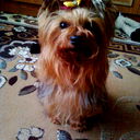 Александр Мельникович