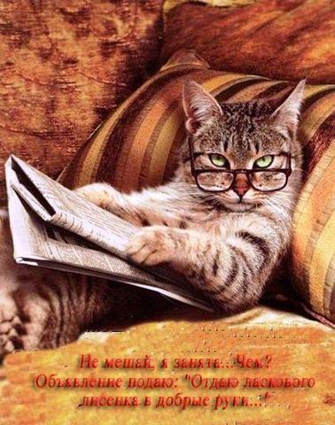 Любовь Силецкая