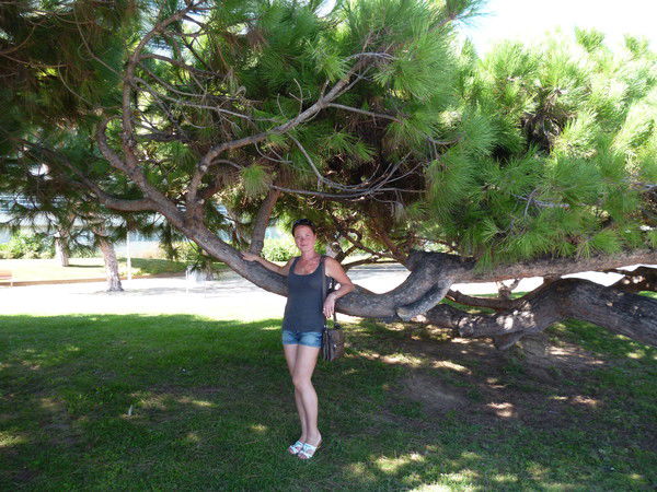 Елизавета Новикова