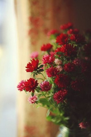 Лилия Литвиненко