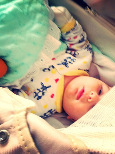 Диана Данелян