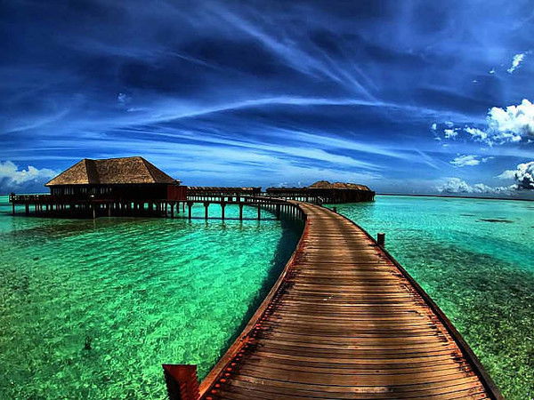 Бухгалтер ******