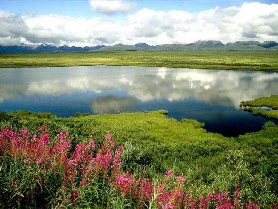 Владимир Проценко