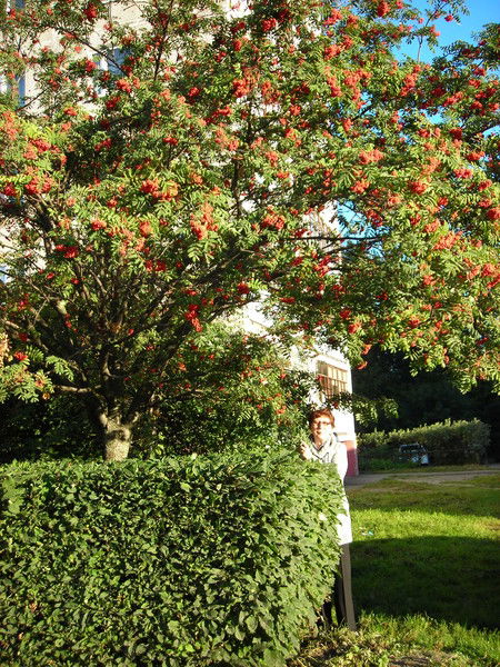 Нина Якимова