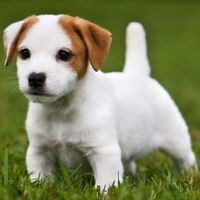 Алена Фролова