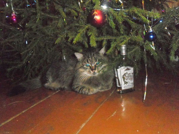 Сергей Ефремов