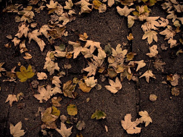 Лилия Секишева