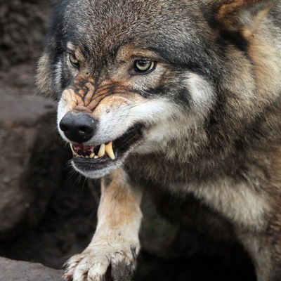 Мансур Ильясов