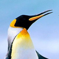 Наталья Поклонская