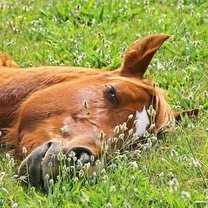 Ольга Рябоконь