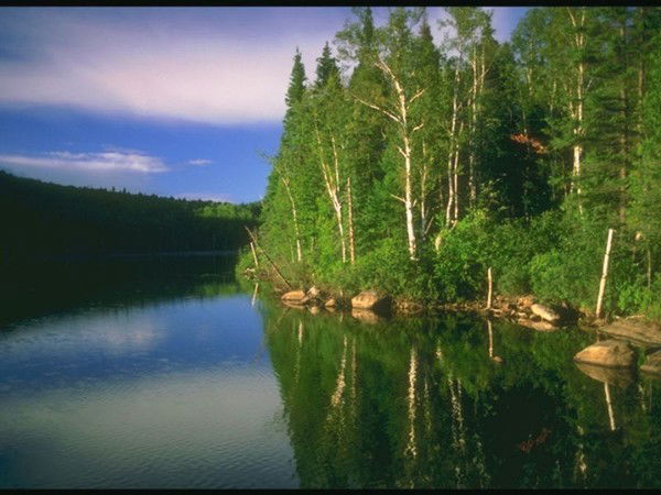 Владимир Шульдайс