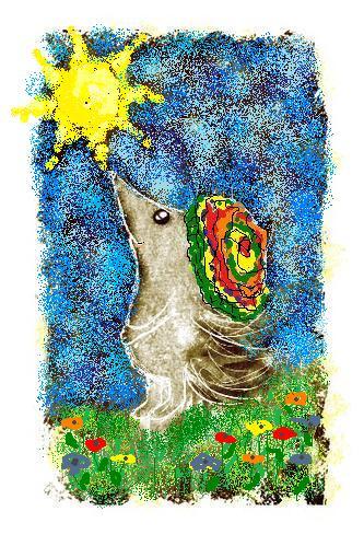 Анастасия Бутакова