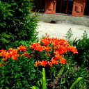 Кылышбекова Нурсауле
