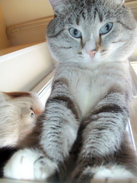 Юлия Ямнова