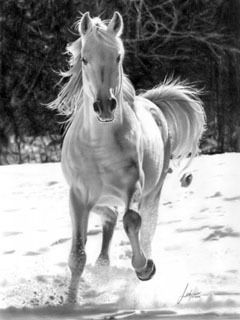 Милана Черкасова