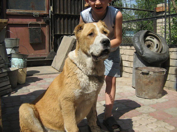 Владимир Данилкин