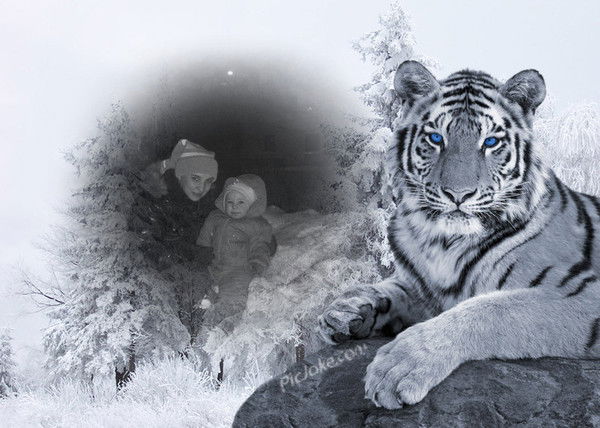 Екатерина Герасимович