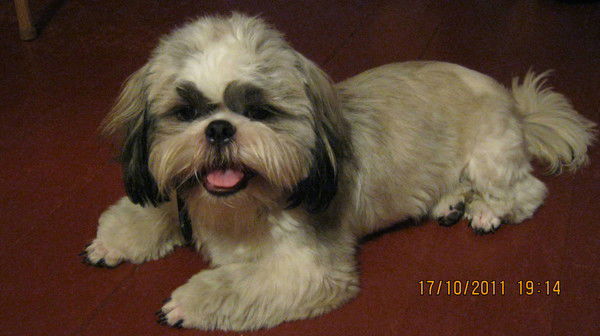 Светлана Безверхова