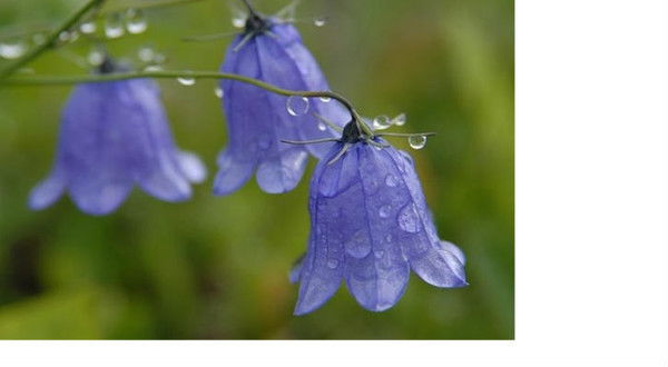 Дошкльний Заклад 14