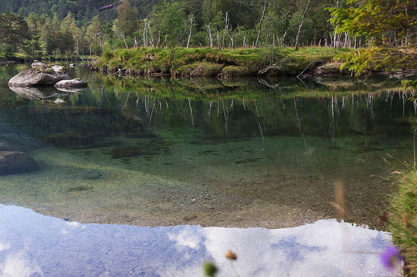 Александра Шпиклирная