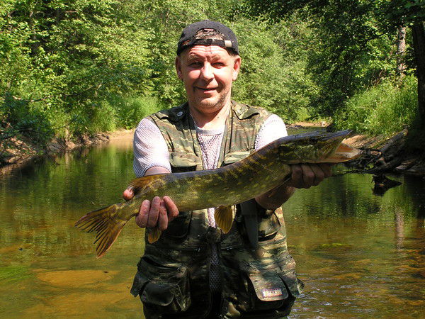 Вячеслав Авдеев