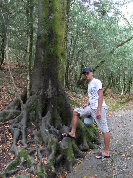 Антон Васильев