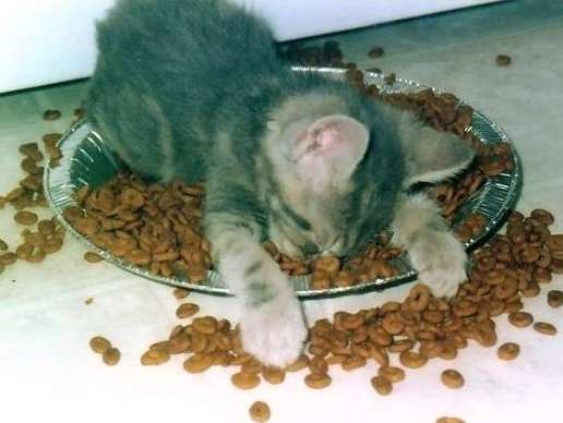 Андрей Неизвестно