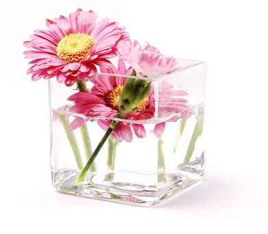 Иманалиева Зарина