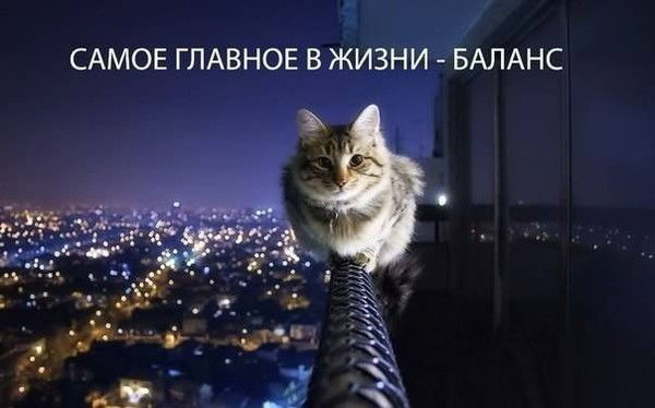 Наталья Чеботарь