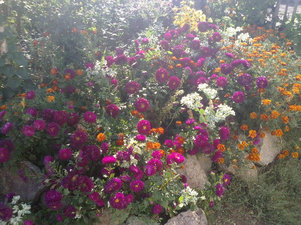 Галия Кумарбекова