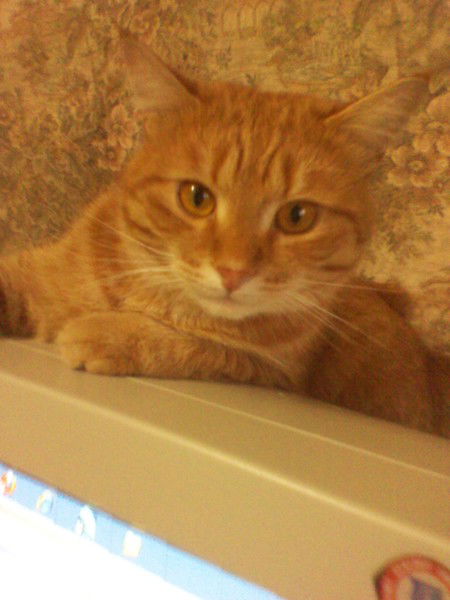 Владимир Тетерин