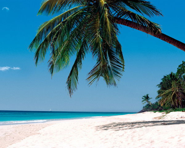 Неизвестно Неизвестно