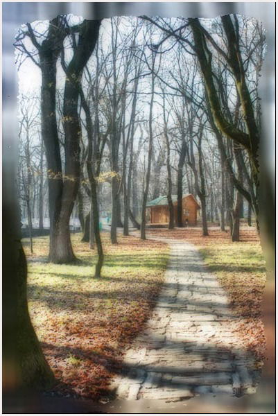 Игорь Чабаненко