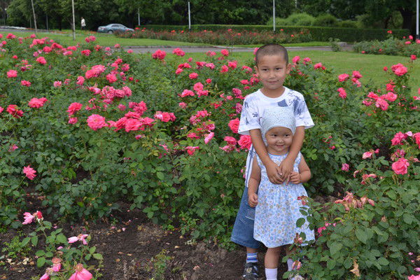 Досгали Амиров