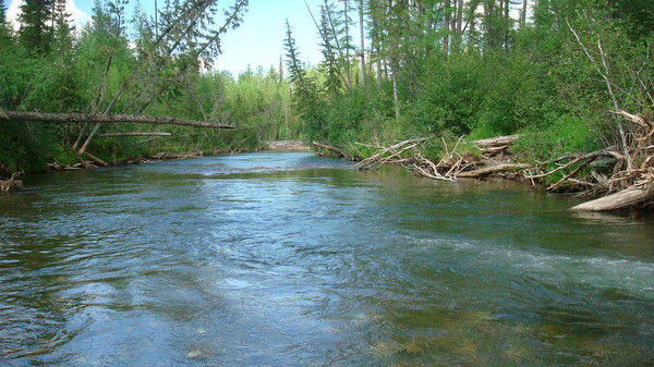 Анатолий Якушев