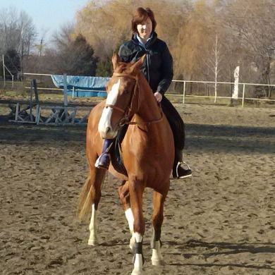 Ивета Ивета