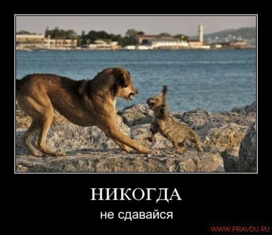 Татьяна Данилова