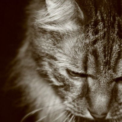 Тигран Великий