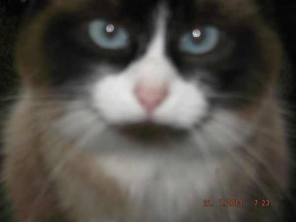 Евгений Карпов