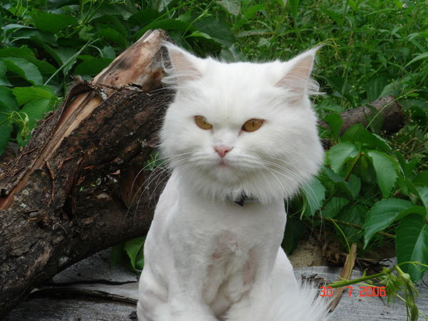 Надежда Смирнова