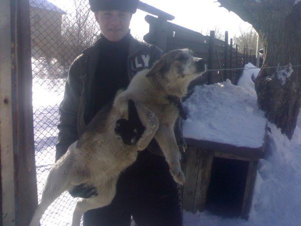 Сергей Вейт