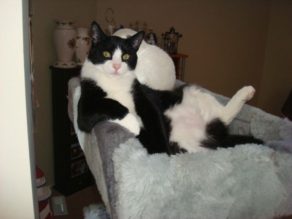 Сергей Колесник