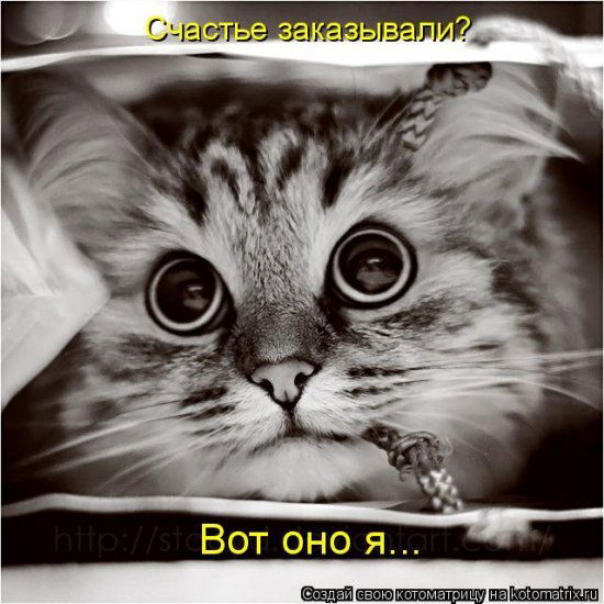 Александр Реслер